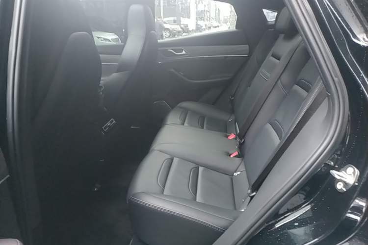 Used SERES SF5 2020 Four-Wheel Drive High-Performance Sports Edition Left Rear Seat