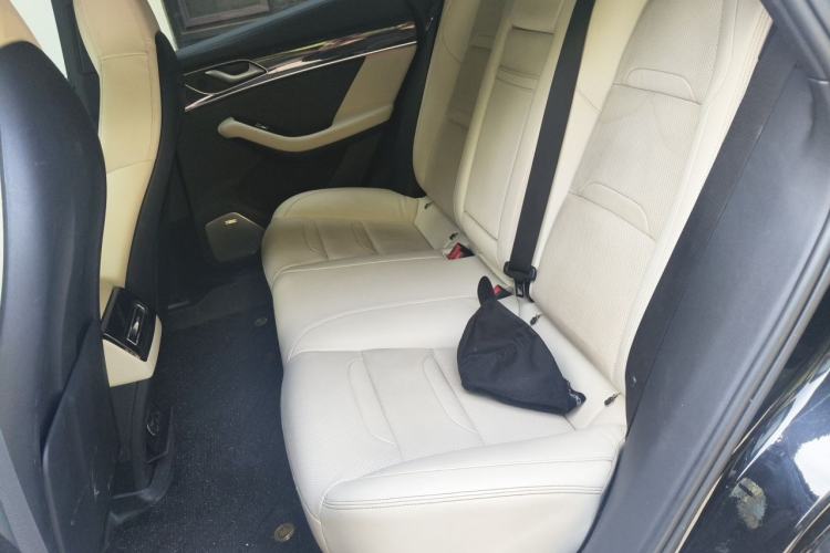Used SERES SF5 2020 Four-Wheel Drive High-Performance Sports Edition Left Rear Seat