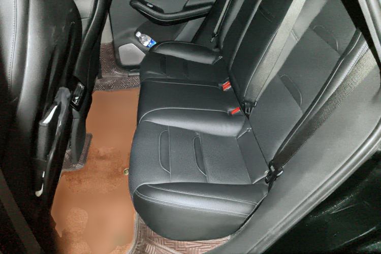 Used SERES SF5 2020 Two-Wheel Drive High-Performance Sports Edition Left Rear Seat