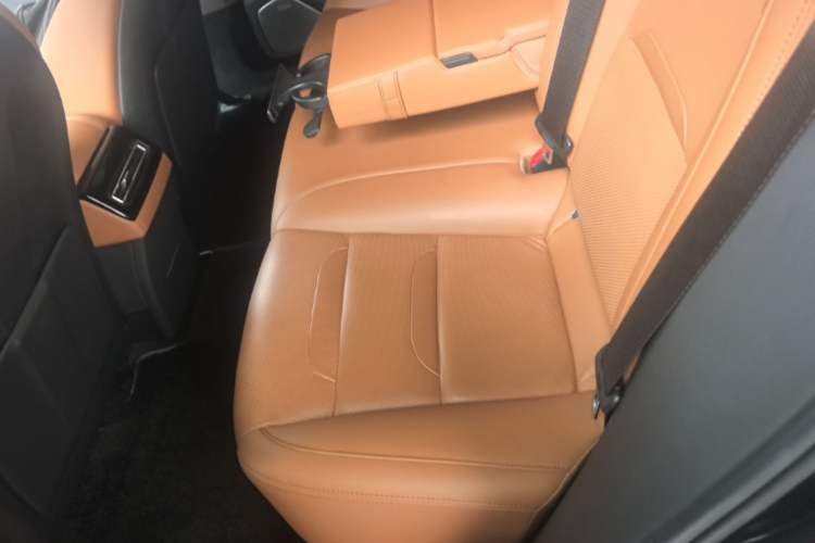 Used SERES SF5 2020 Two-Wheel Drive High-Performance Sports Edition Left Rear Seat