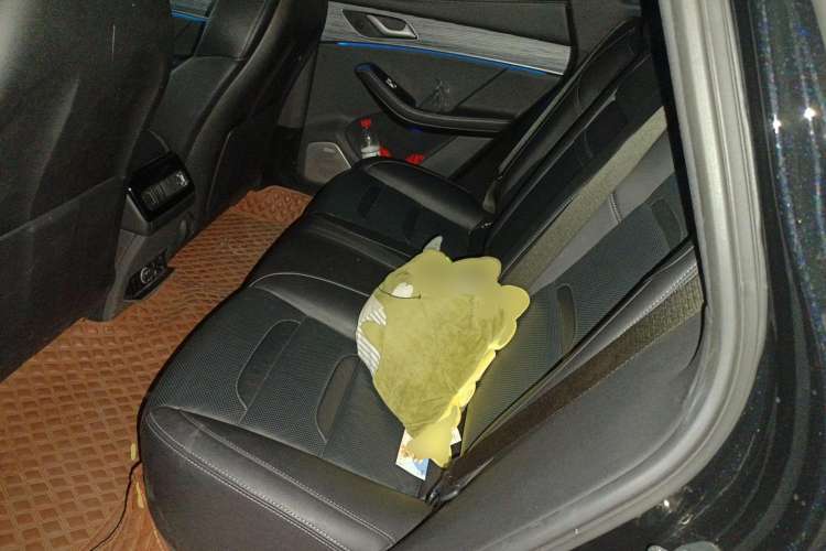 Used SERES SF5 2020 Four-Wheel Drive High-Performance Sports Edition Left Rear Seat