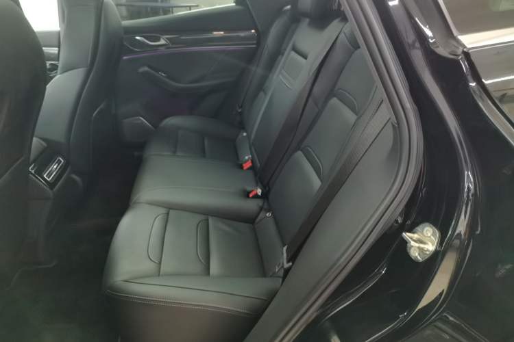 Used SERES SF5 2020 Two-Wheel Drive High-Performance Sports Edition Left Rear Seat