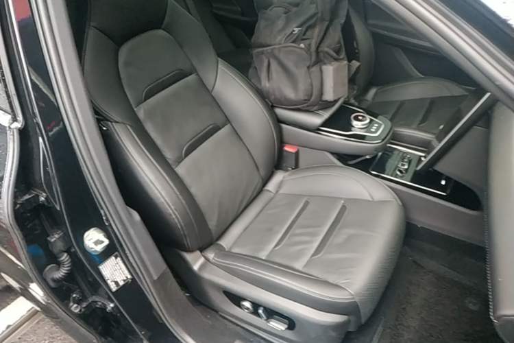 Used SERES SF5 2020 Four-Wheel Drive High-Performance Sports Edition Right Front Seat