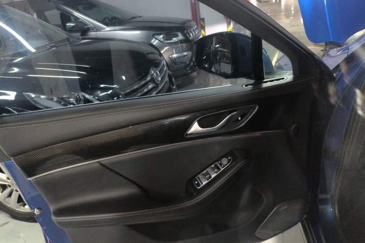 Used SERES SF5 2020 Four-Wheel Drive High-Performance Sports Edition Left Front Door Interior