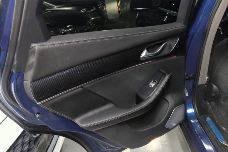 Used SERES SF5 2020 Four-Wheel Drive High-Performance Sports Edition Left Rear Door Interior