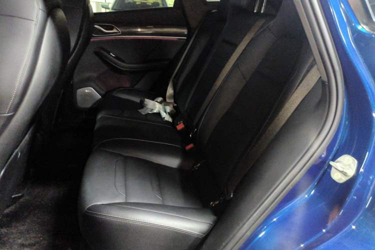 Used SERES SF5 2020 Four-Wheel Drive High-Performance Sports Edition Left Rear Seat