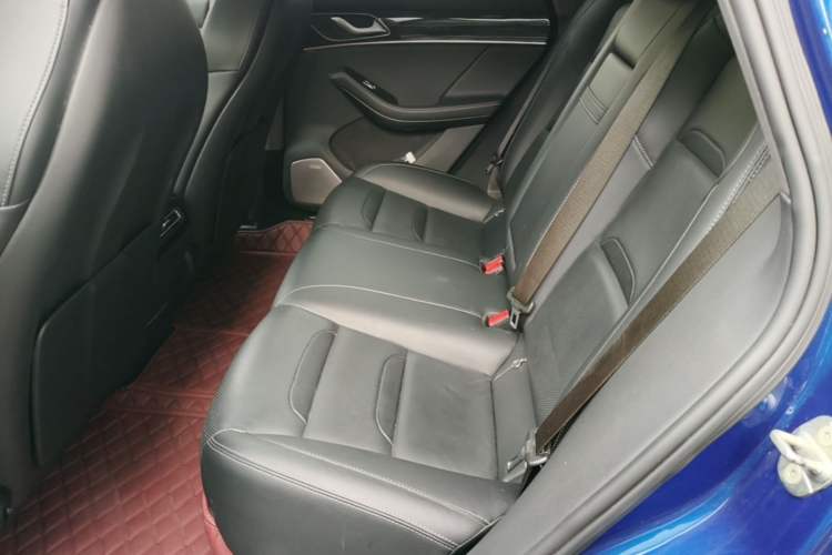 Used SERES SF5 2020 Four-Wheel Drive High-Performance Sports Edition Left Rear Seat
