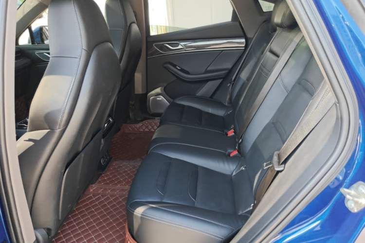 Used SERES SF5 2020 Two-Wheel Drive High-Performance Sports Edition Left Rear Seat