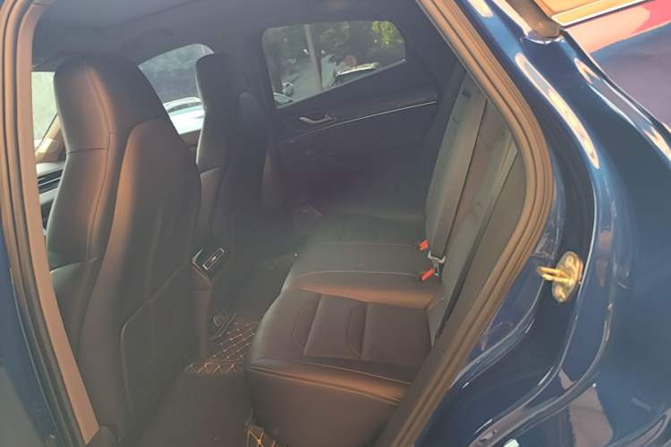 Used SERES SF5 2020 Two-Wheel Drive High-Performance Sports Edition Left Rear Seat