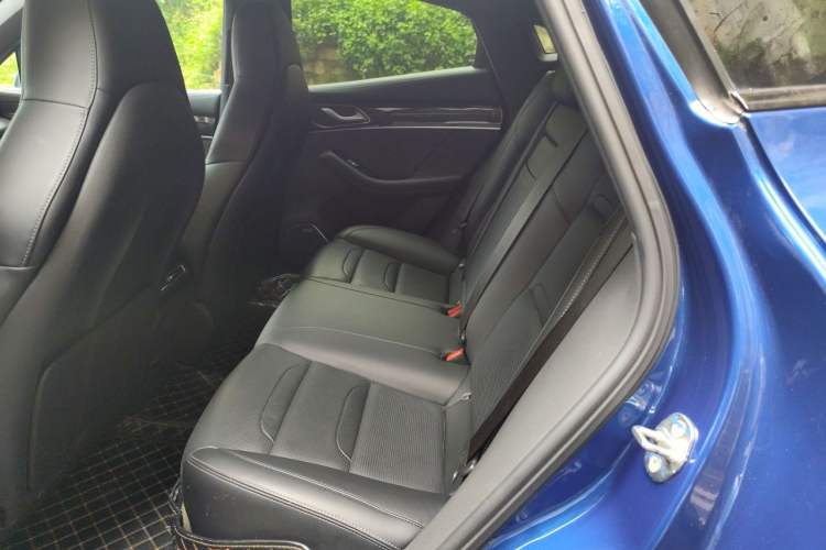 Used SERES SF5 2020 Four-Wheel Drive High-Performance Sports Edition Left Rear Seat