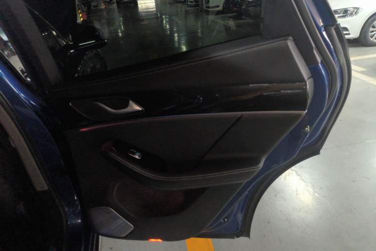 Used SERES SF5 2020 Four-Wheel Drive High-Performance Sports Edition Right Rear Door Interior