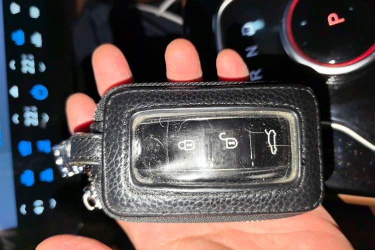 Used SERES SF5 2020 Two-Wheel Drive High-Performance Sports Edition Vehicle Key