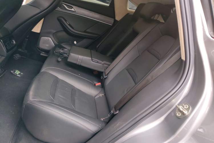 Used SERES SF5 2020 Two-Wheel Drive High-Performance Sports Edition Left Rear Seat