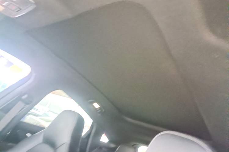 Used SERES SF5 2020 Four-Wheel Drive High-Performance Sports Edition Headliner