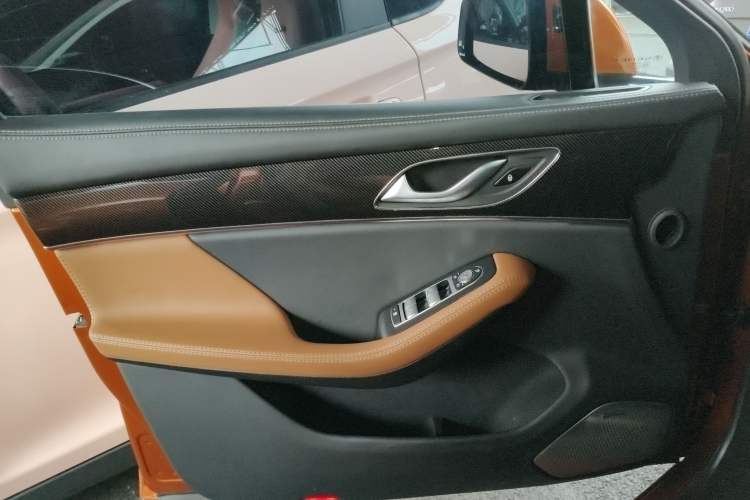 Used SERES SF5 2020 Two-Wheel Drive High-Performance Sports Edition Left Front Door Interior