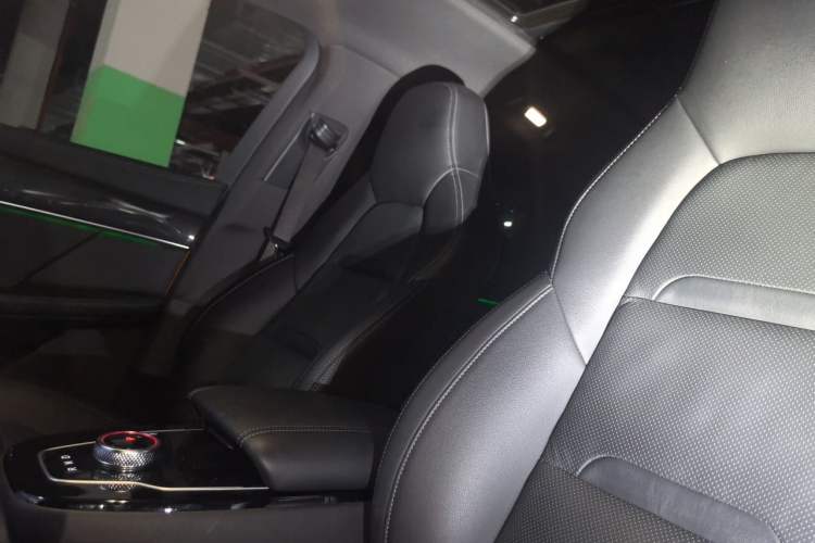 Used SERES SF5 2020 Four-Wheel Drive High-Performance Sports Edition Left Front Seat