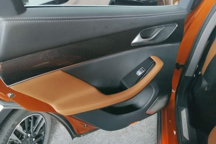 Used SERES SF5 2020 Two-Wheel Drive High-Performance Sports Edition Left Rear Door Interior