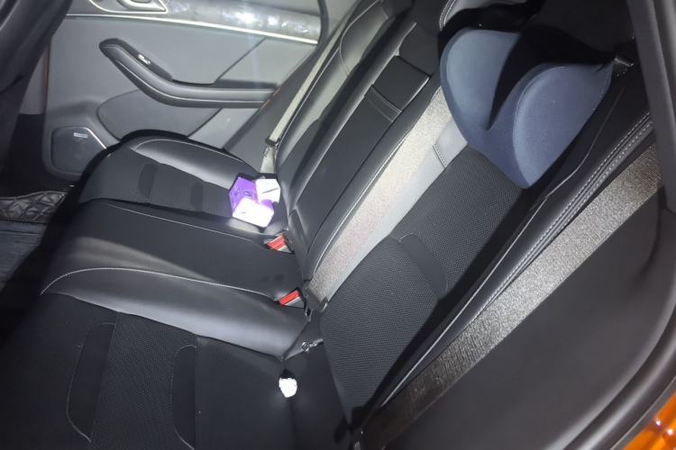 Used SERES SF5 2020 Four-Wheel Drive High-Performance Sports Edition Left Rear Seat