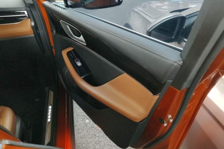 Used SERES SF5 2020 Two-Wheel Drive High-Performance Sports Edition Right Front Door Interior