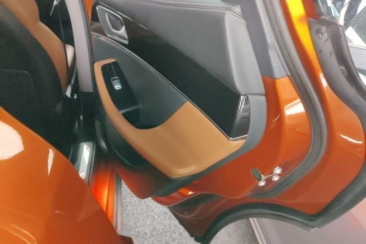 Used SERES SF5 2020 Two-Wheel Drive High-Performance Sports Edition Right Rear Door Interior