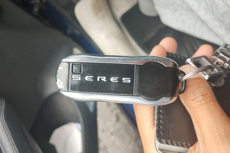 Used SERES SF5 2020 Four-Wheel Drive High-Performance Sports Edition Interior 1