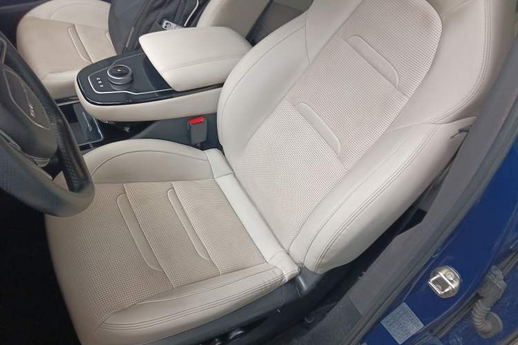 Used SERES SF5 2020 Four-Wheel Drive High-Performance Sports Edition Left Front Seat