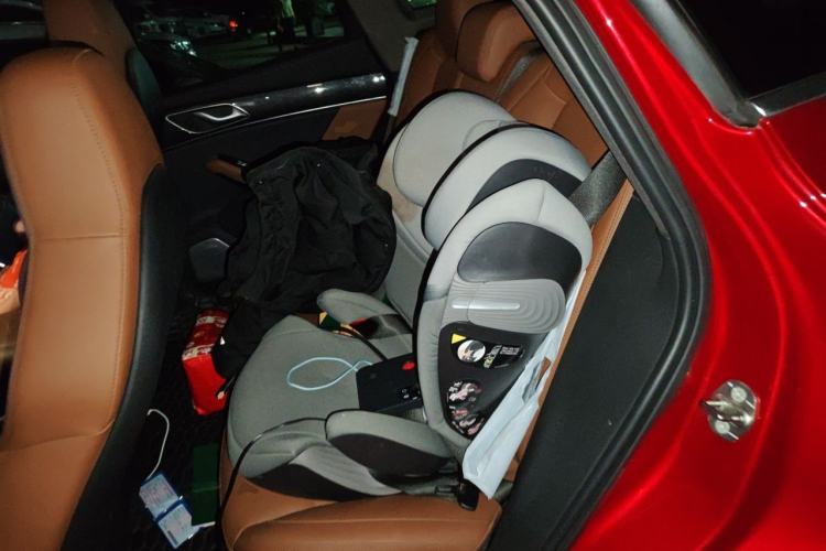 Used SERES SF5 2020 Two-Wheel Drive High-Performance Sports Edition Left Rear Seat