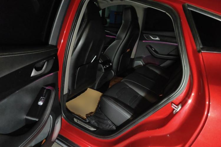 Used SERES SF5 2020 Two-Wheel Drive High-Performance Sports Edition Left Rear Seat