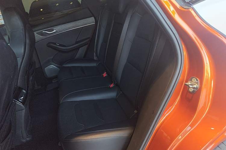 Used SERES SF5 2020 Revised Version Four-Wheel Drive High-Performance Edition Left Rear Seat