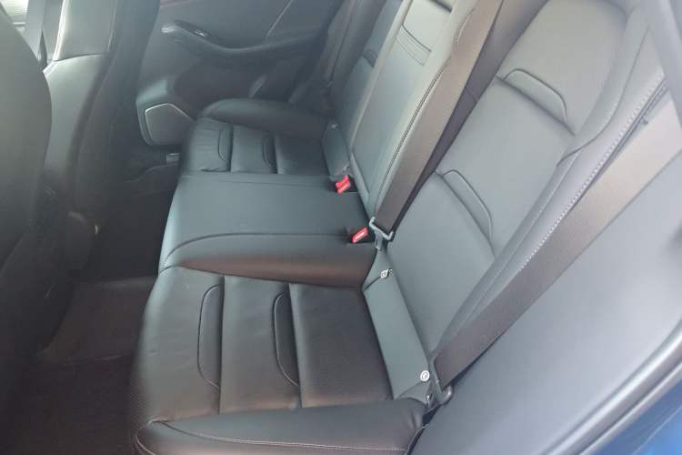 Used SERES SF5 2020 Four-Wheel Drive High-Performance Sports Edition Left Rear Seat