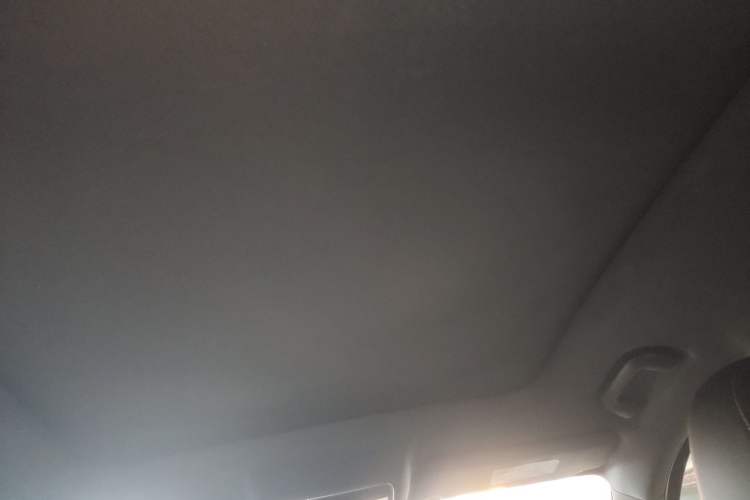Used SERES SF5 2020 Four-Wheel Drive High-Performance Version Headliner