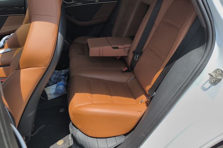 Used SERES SF5 2020 Two-Wheel Drive High-Performance Sports Edition Left Rear Seat