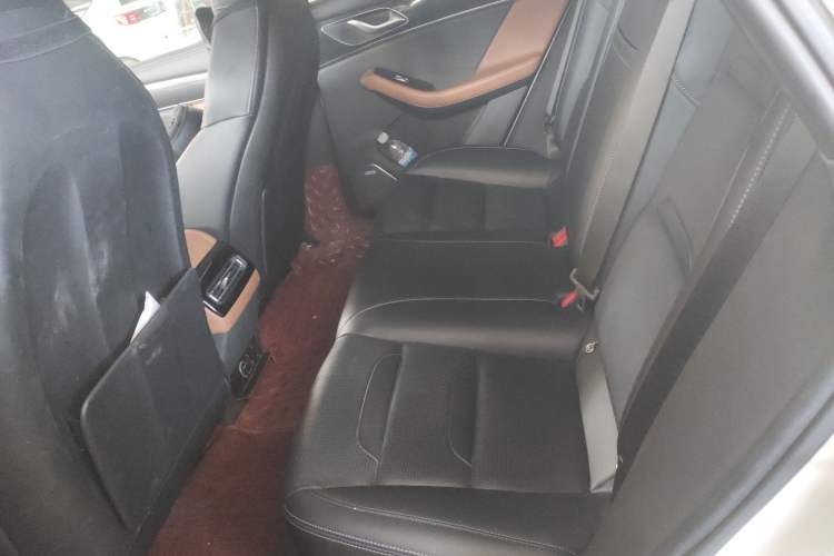 Used SERES SF5 2020 Four-Wheel Drive High-Performance Version Left Rear Seat