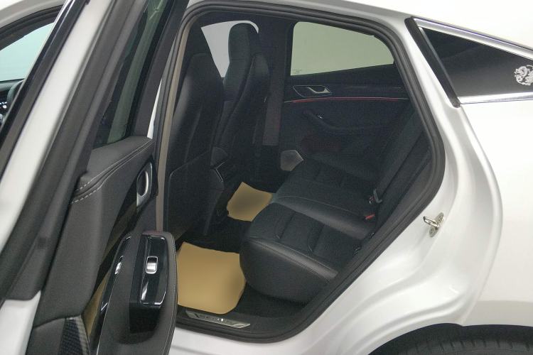 Used SERES SF5 2020 Two-Wheel Drive High-Performance Sports Edition Left Rear Seat