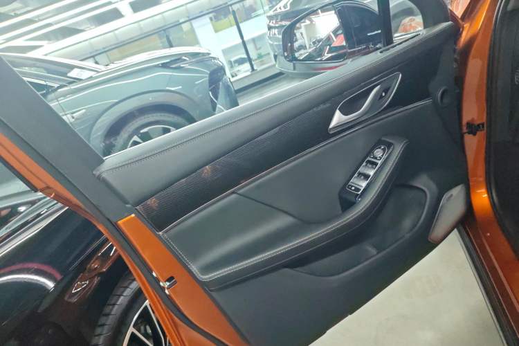 Used SERES SF5 2020 Four-Wheel Drive High-Performance Sports Edition Left Front Door Interior