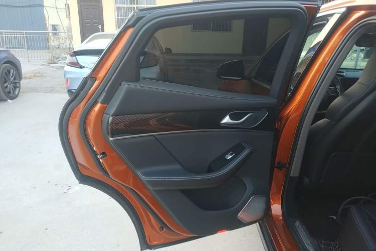 Used SERES SF5 2020 Two-Wheel Drive High-Performance Sports Edition Left Rear Door Interior