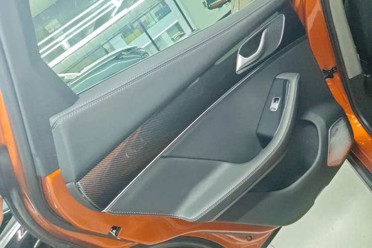 Used SERES SF5 2020 Four-Wheel Drive High-Performance Sports Edition Left Rear Door Interior