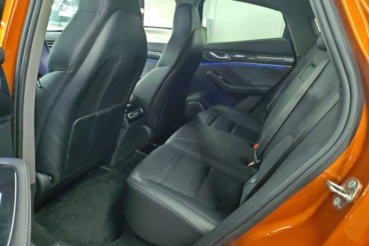 Used SERES SF5 2020 Four-Wheel Drive High-Performance Sports Edition Left Rear Seat
