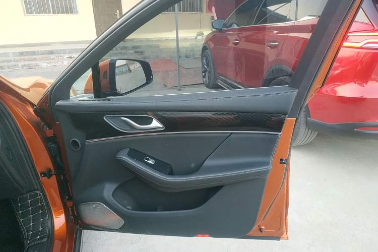 Used SERES SF5 2020 Two-Wheel Drive High-Performance Sports Edition Right Front Door Interior