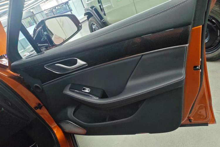 Used SERES SF5 2020 Four-Wheel Drive High-Performance Sports Edition Right Front Door Interior