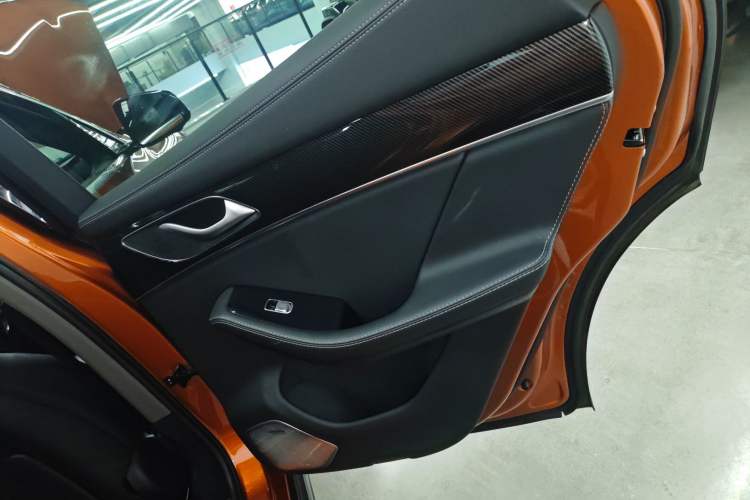Used SERES SF5 2020 Four-Wheel Drive High-Performance Sports Edition Right Rear Door Interior