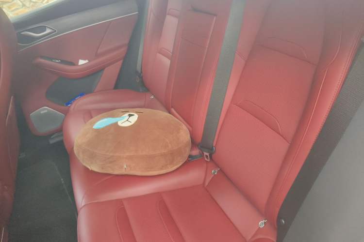 Used SERES SF5 2021 Huawei Smart Selection Four-Wheel Drive Edition Left Rear Seat