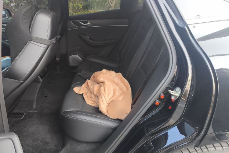 Used SERES SF5 2021 Four-Wheel Drive Freedom Expedition Edition Left Rear Seat