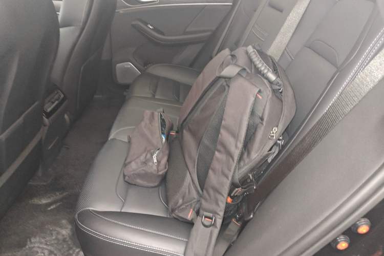 Used SERES SF5 2021 Four-Wheel Drive Freedom Expedition Edition Left Rear Seat