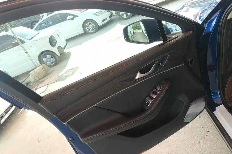 Used SERES SF5 2021 Four-Wheel Drive Freedom Expedition Edition Left Front Door Interior