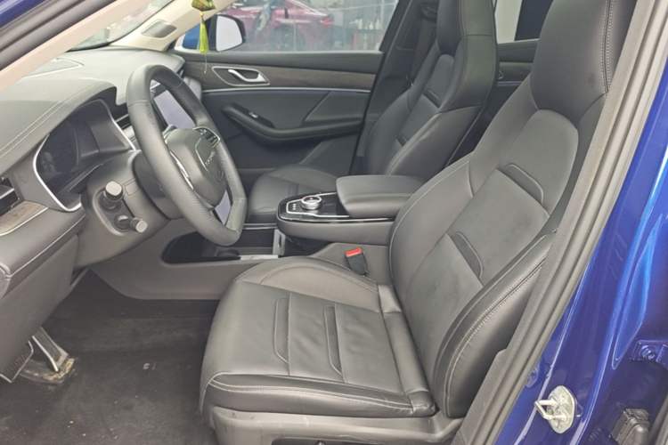Used SERES SF5 2021 Four-Wheel Drive Freedom Expedition Edition Left Front Seat