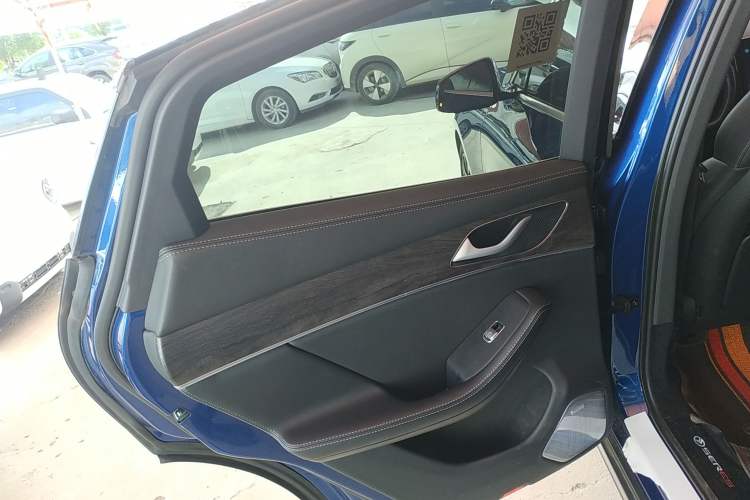 Used SERES SF5 2021 Four-Wheel Drive Freedom Expedition Edition Left Rear Door Interior