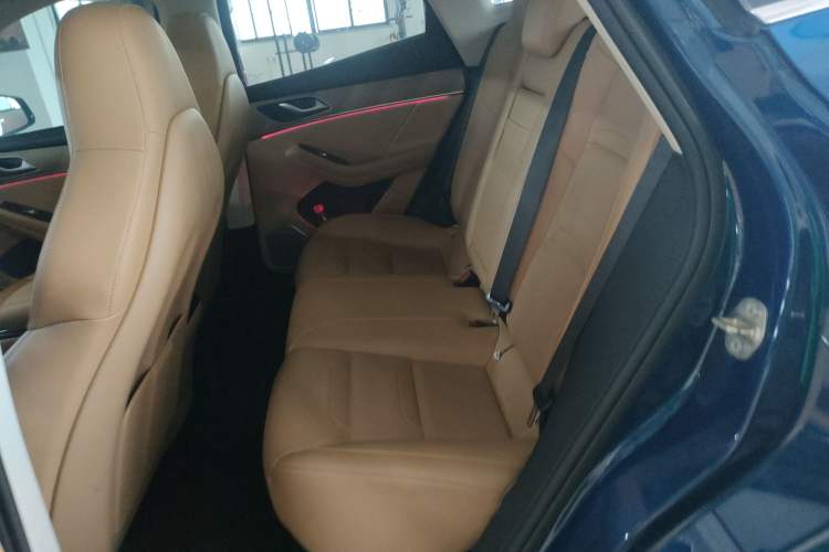 Used SERES SF5 2021 Four-Wheel Drive Freedom Expedition Edition Left Rear Seat