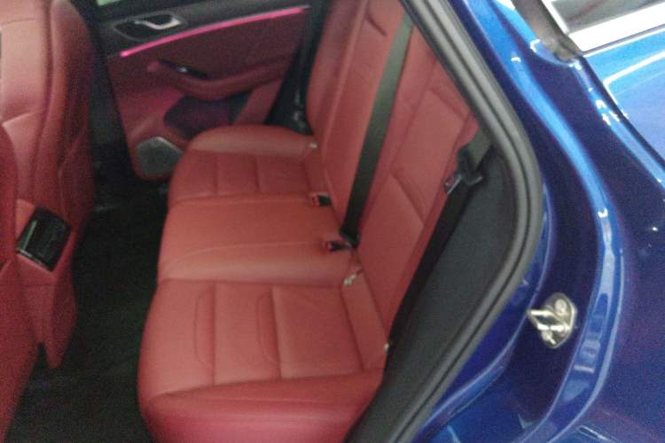 Used SERES SF5 2021 Four-Wheel Drive Freedom Expedition Edition Left Rear Seat