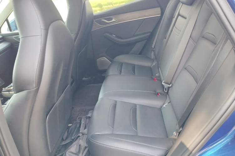 Used SERES SF5 2021 Four-Wheel Drive Freedom Expedition Edition Left Rear Seat